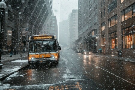 autobus, maison, neige, rue, arbre