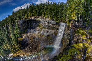 foresta, paesaggio, cascata