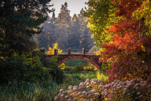 jesień, PIĘKNO, Berlin, Most, Ogród botaniczny, Niemcy, Park, staw