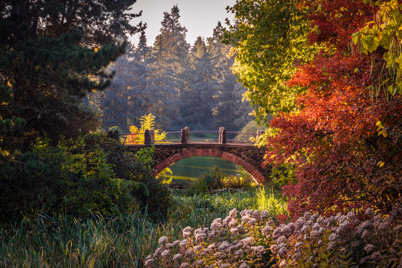 autunno, Parco, BELLEZZA, alberi, Germania, ponte, stagno, i cespugli