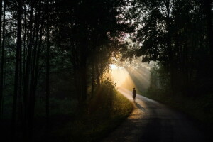 licht, mensen, weg