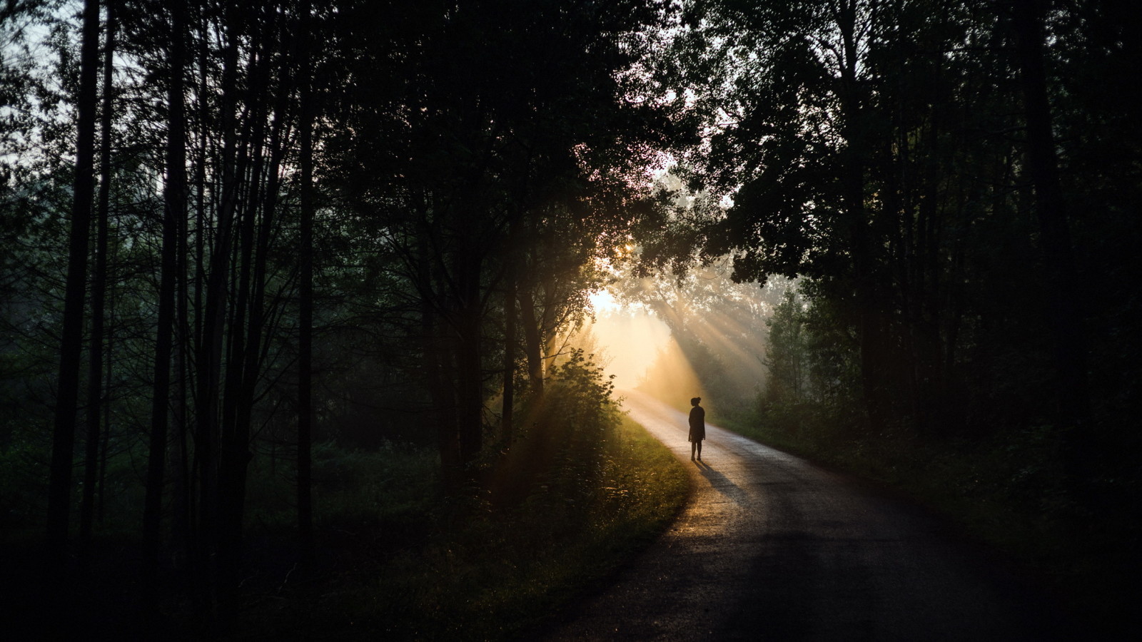 licht, weg, mensen