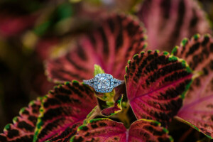 pétales, bague, pierre, mariage