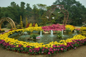 arco, China, vistoso, diseño, flores, fuente, Jardín Botánico de Hangzhou, Parque