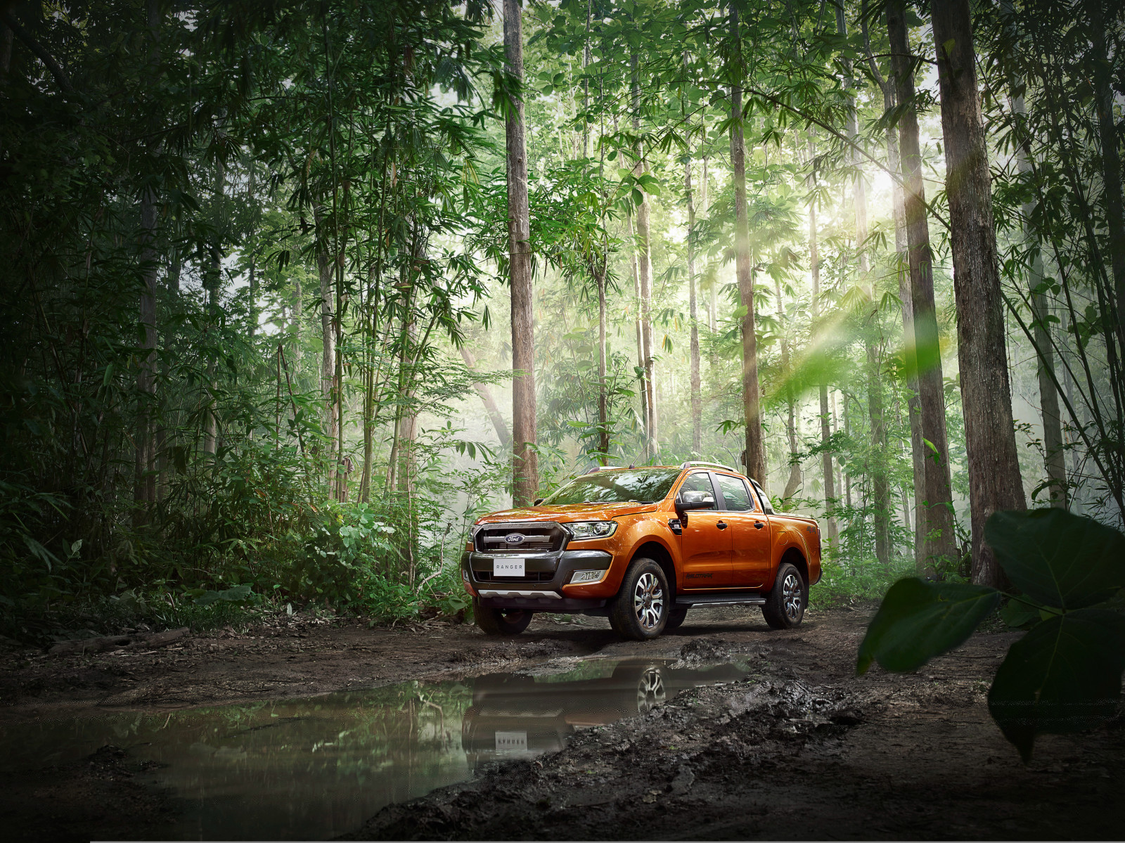 Ford, RANGER, 2015, Wildtrak, THE-spec