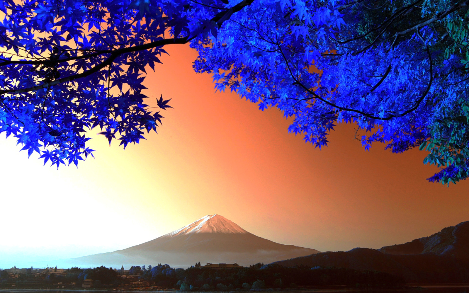 Baum, Berg, Japan, Blätter, Fuji