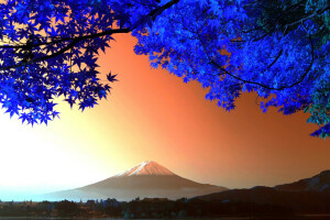 Fuji, Japan, leaves, Mountain, tree