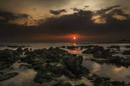 algas, nuvens, mar, pedras, pôr do sol, o céu, o sol, Maré