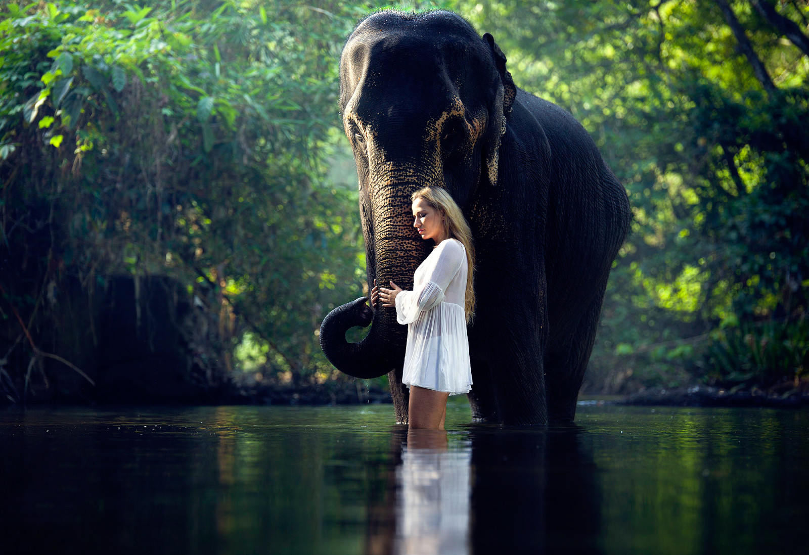 menina, na água, elefante, Sereno