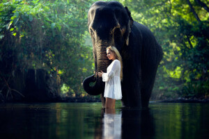 elephant, girl, in the water, Serene