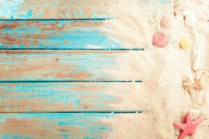 background, beach, Board, marine, sand, seashells, shell, star