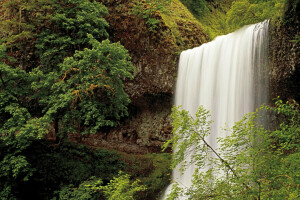 forest, Oregon, Silver Falls, USA, waterfall