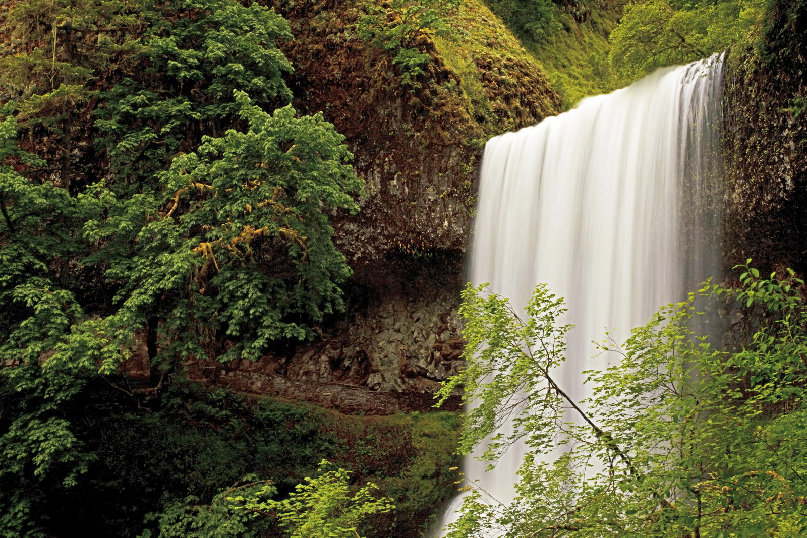 forest, waterfall, USA, Oregon, Silver Falls