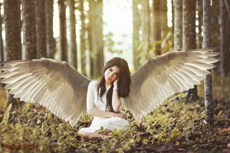 brown hair, forest, girl, look, smile, trees, wings