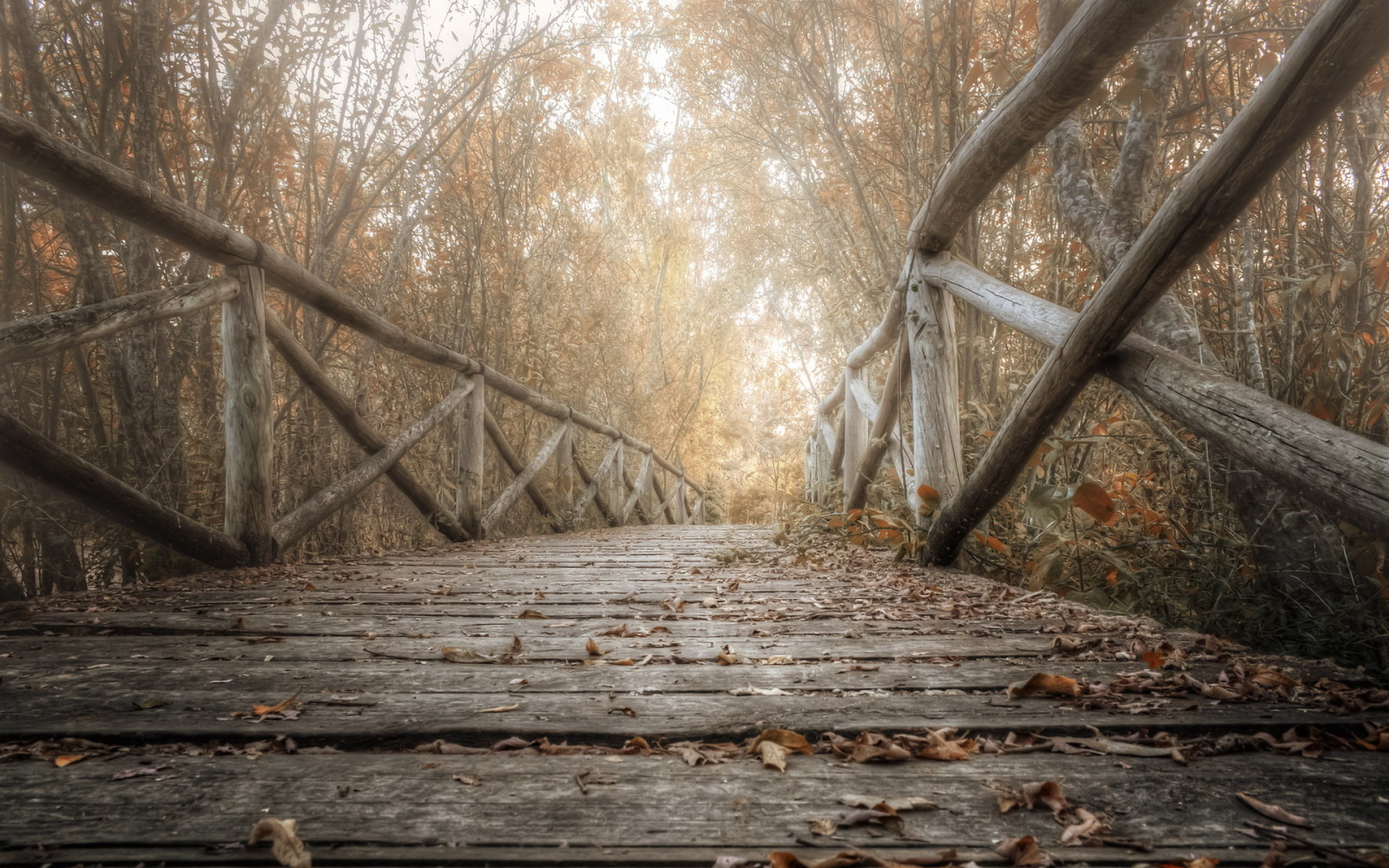 otoño, naturaleza, hojas, Puente