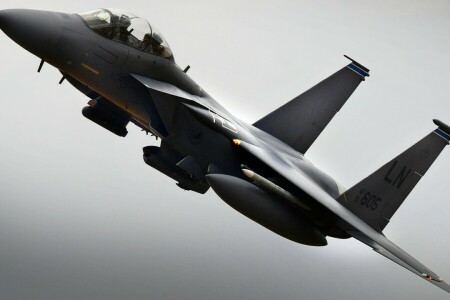 Double américain, F-15E, chasseur-bombardier, Strike Eagle, ARMÉE DE L'AIR AMÉRICAINE