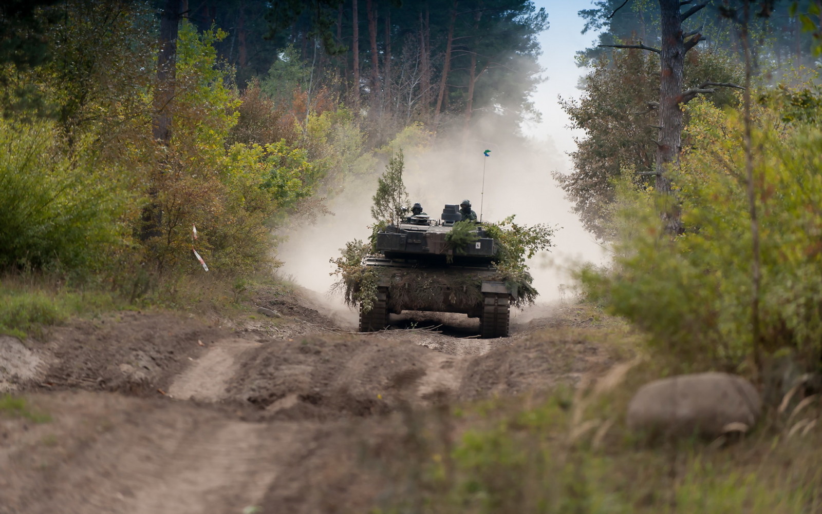 forest, road, tank