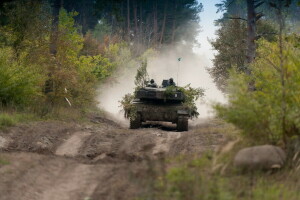 bosque, la carretera, tanque