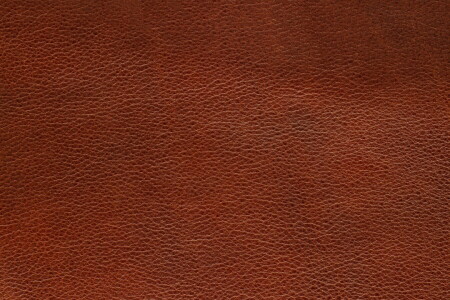 leather, Skin, texture