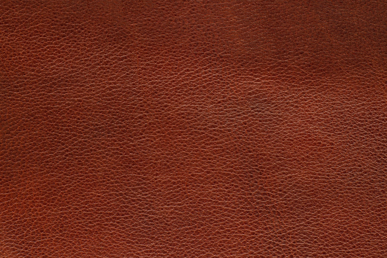 texture, leather, Skin