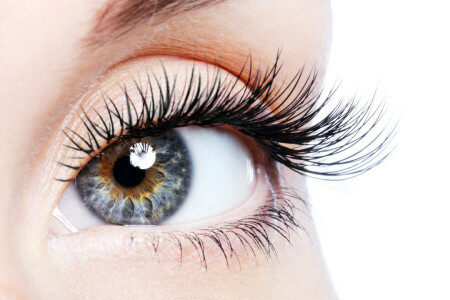 eye, eyelashes, pupil, Woman