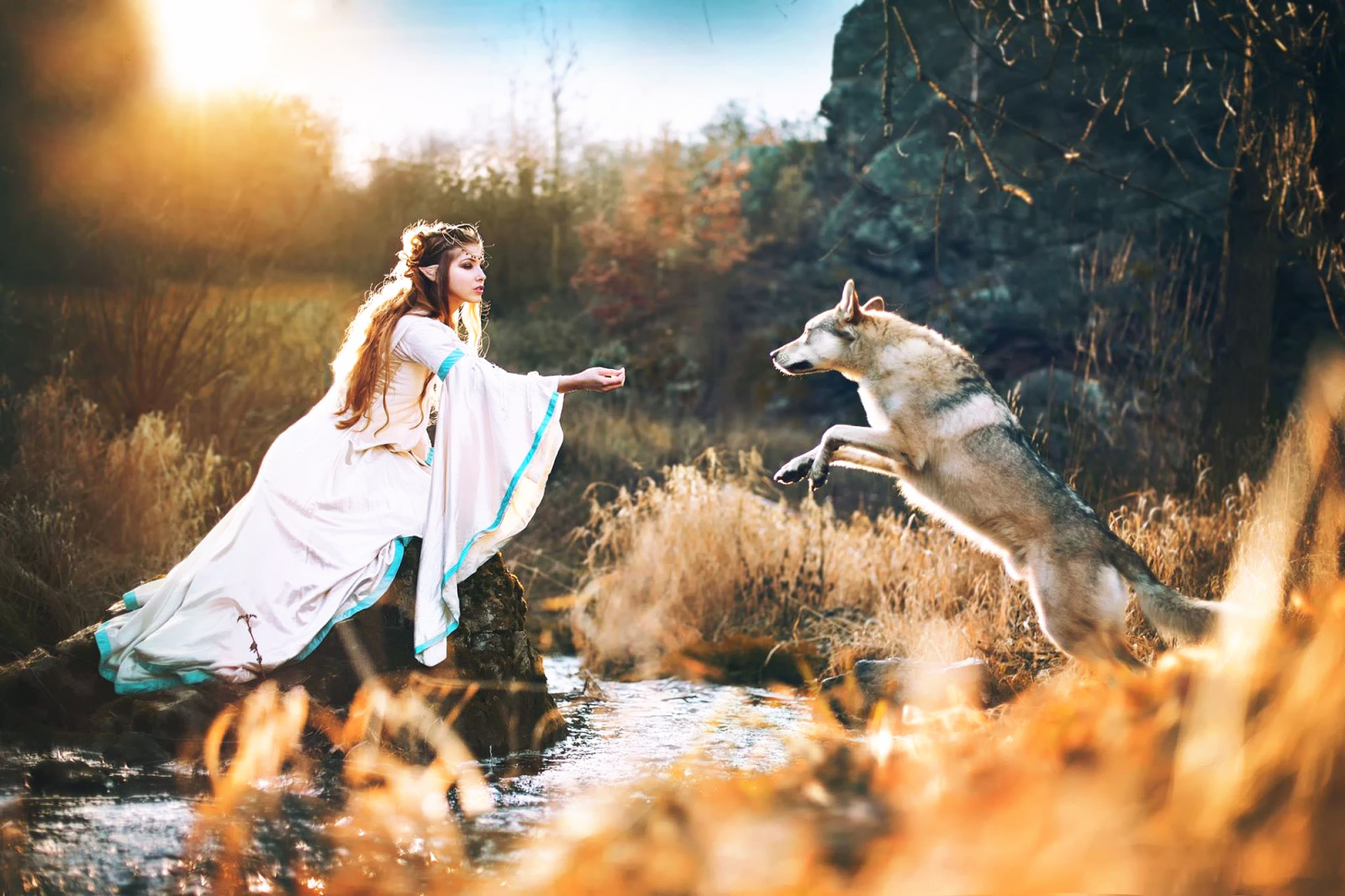 Elf, Wolf, Wolf mit Elfenprinzessin