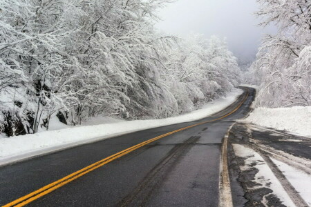 road, snow, winter