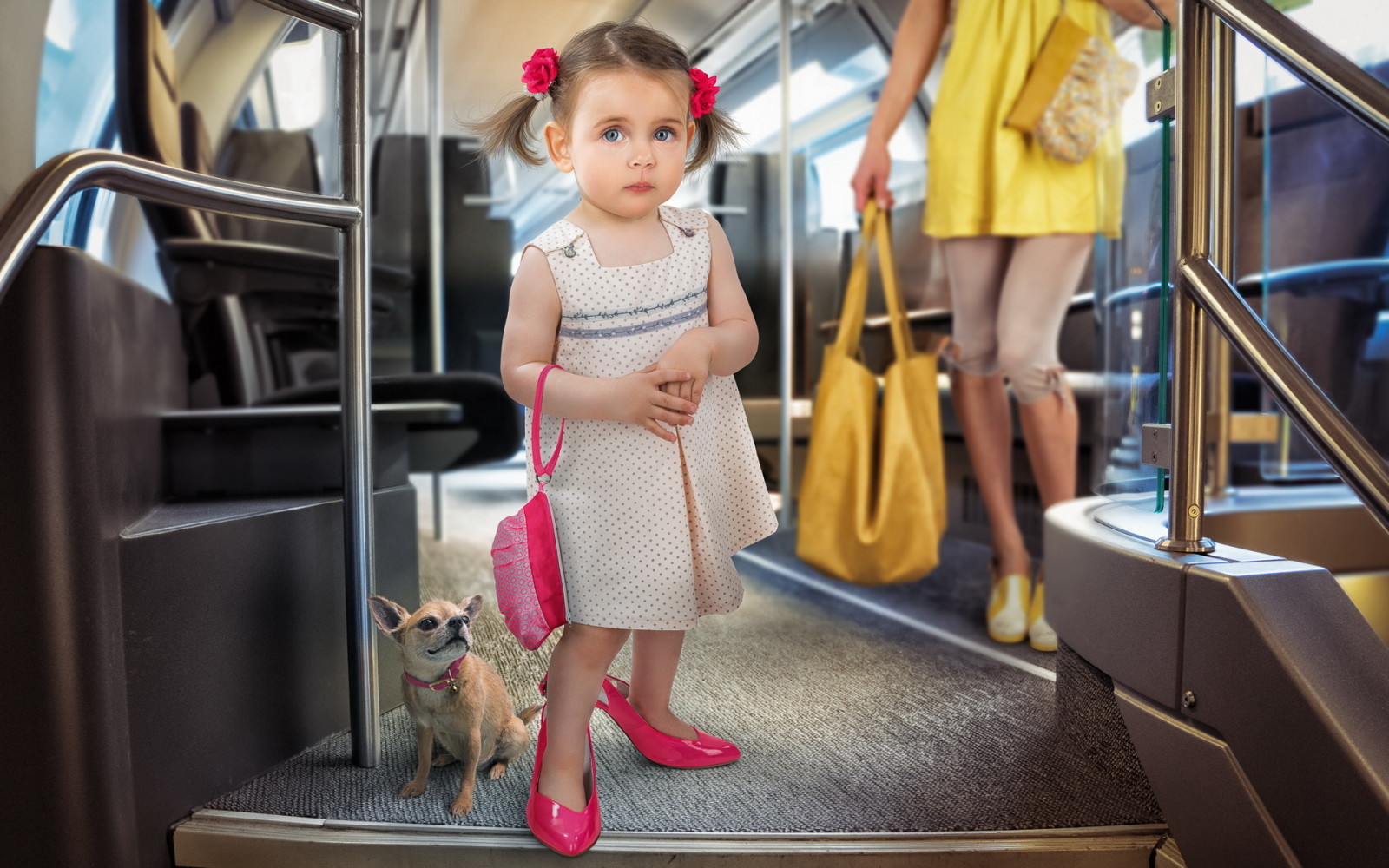 hund, flicka, buss