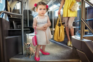 ônibus, cachorro, menina