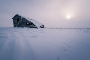 maison, neige, hiver