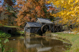 forest, mill, river, trees, wheel