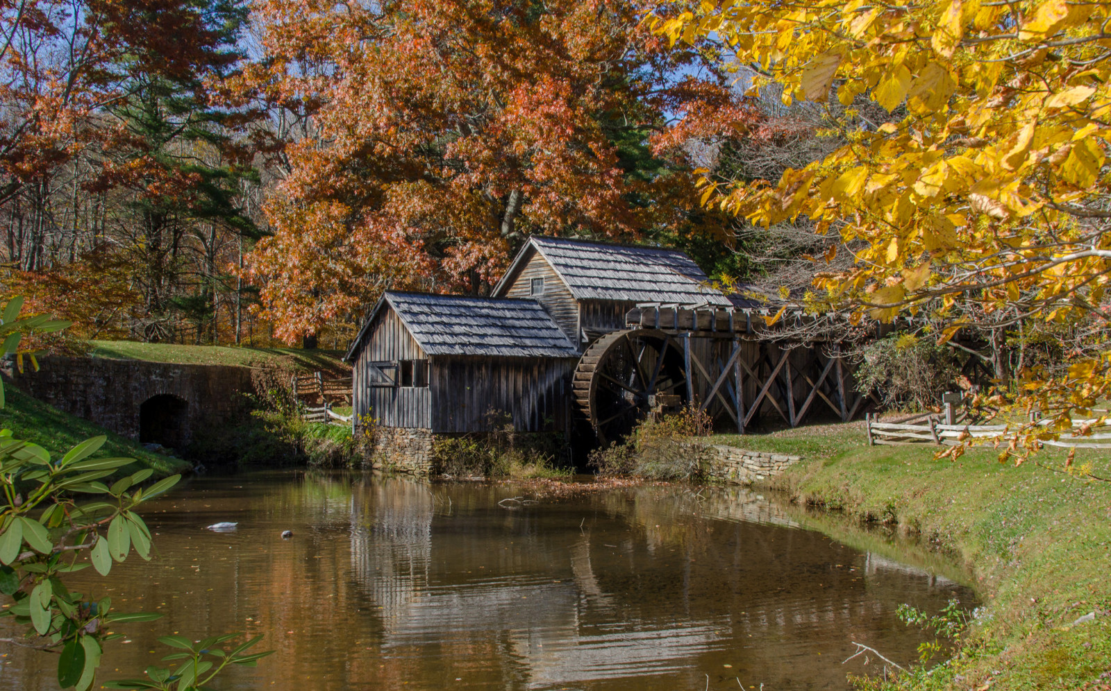 Wald, Fluss, Bäume, Rad, Mühle