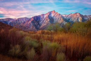 kamyshi, landscape, mountains, trees