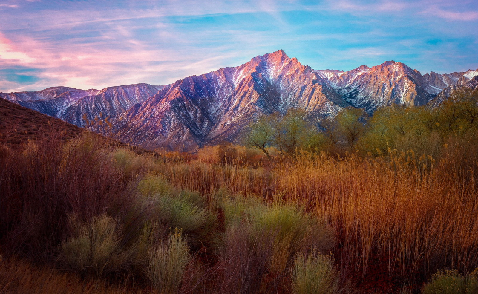 paysage, des arbres, montagnes, kamyshi