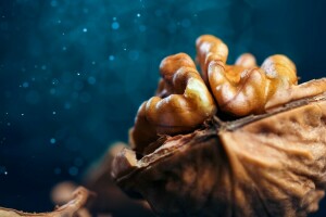 bokeh, macro, Walnut