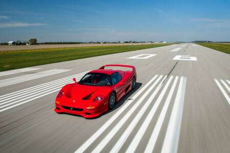 auto, auto, F50, ferrari, racing, rood, snelheid