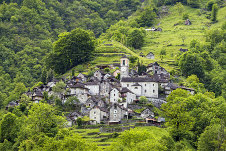 Cantón del Tesino, césped, verduras, hogar, Locarno, Montaña, Pendiente, Suiza