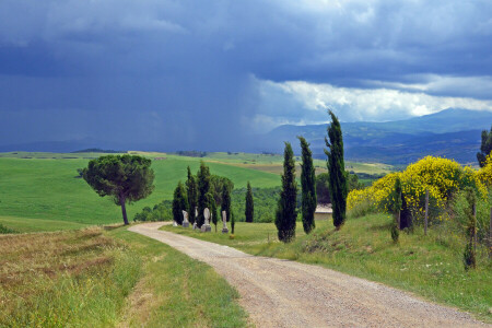 skyer, gård, felt, blomster, Italia, regn, vei, landsbygda