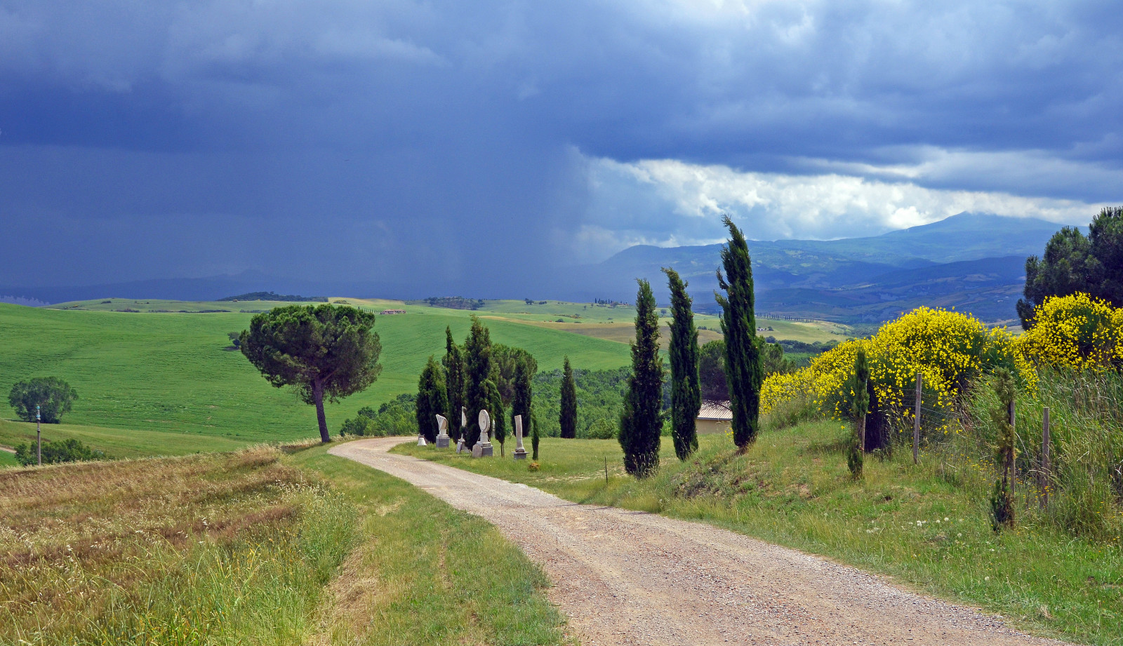 weg, veld-, bloemen, wolken, Italië, regen, boerderij, Toscane