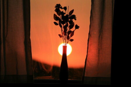 flowers, sunset, window