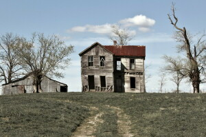 field, house, landscape