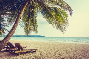 spiaggia, acqua blu, paesaggio, palme, Palma, mare, Tropici