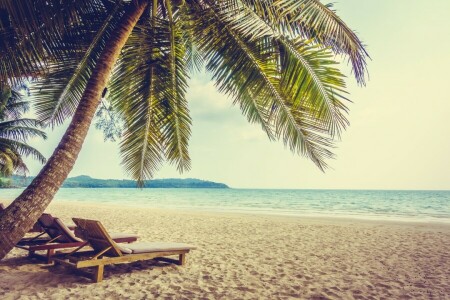 beach, blue water, landscape, palm trees, Palma, sea, Tropics