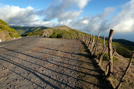 road, shadows, the fence