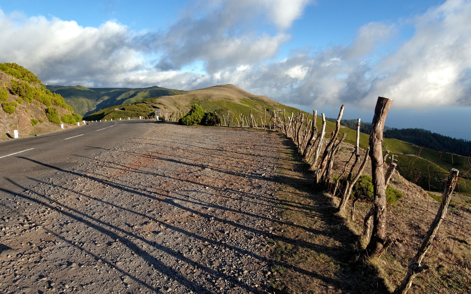 strada, ombre, la recinzione