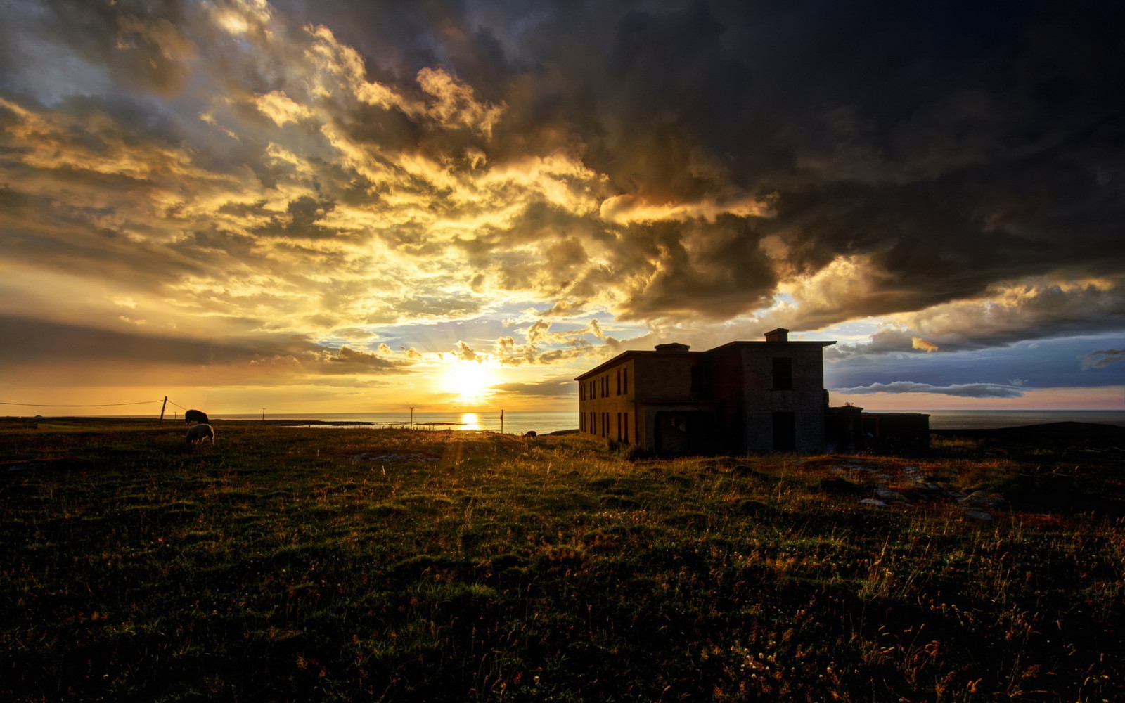 huis, landschap, zee, ochtend-