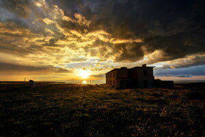 Casa, paesaggio, mattina, mare