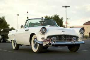 1955, Guado, T-Bird, La parte anteriore