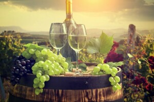 barrel, bunches of grapes, glasses, wine