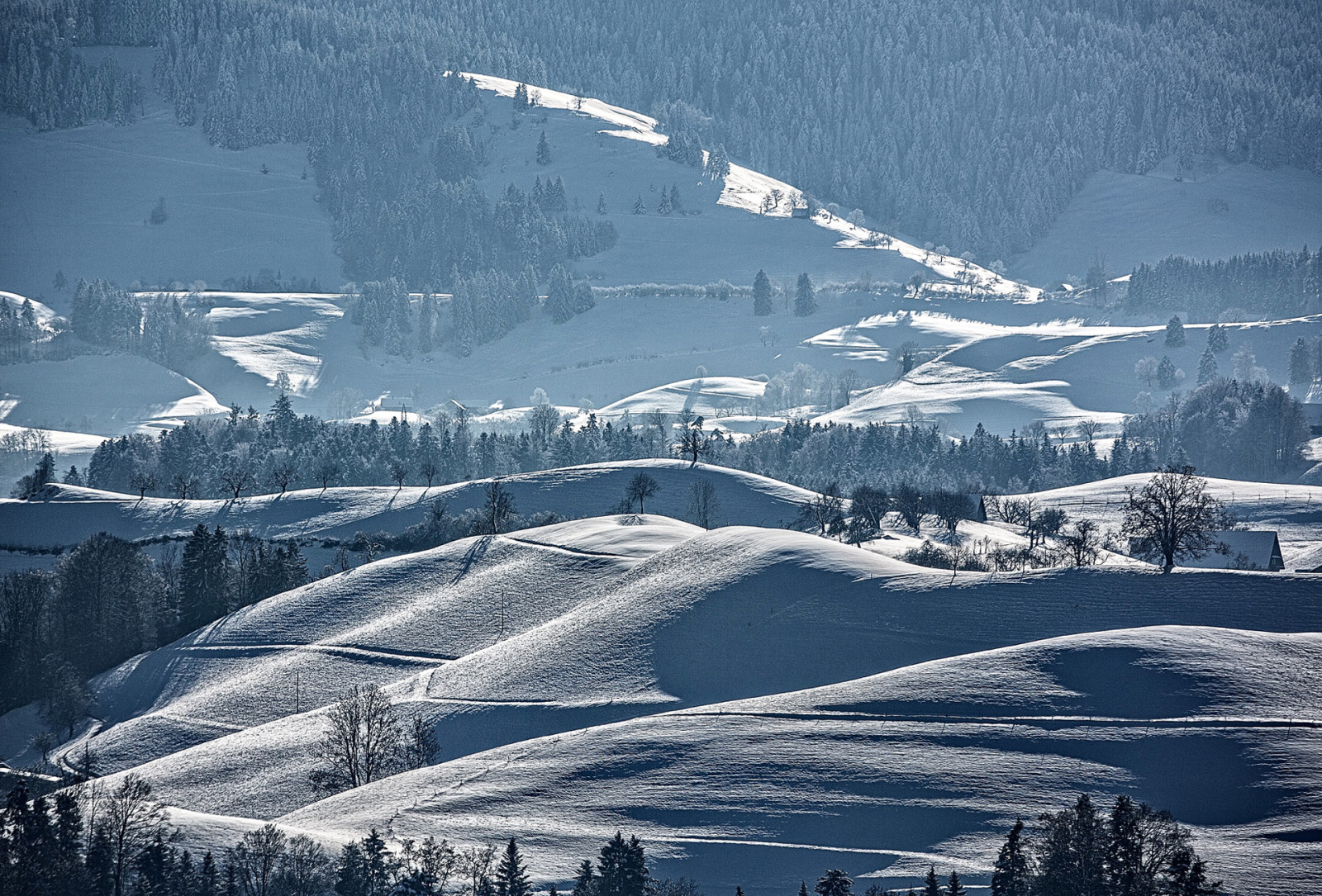 neve, inverno, panorama, árvores, montanhas, declive